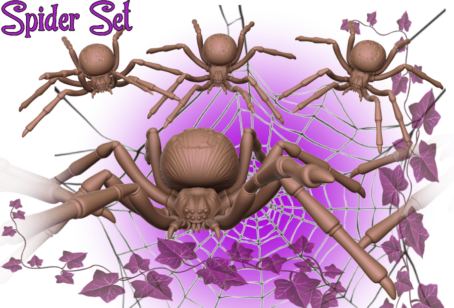 Spider Set