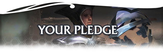 Your Pledge Banner