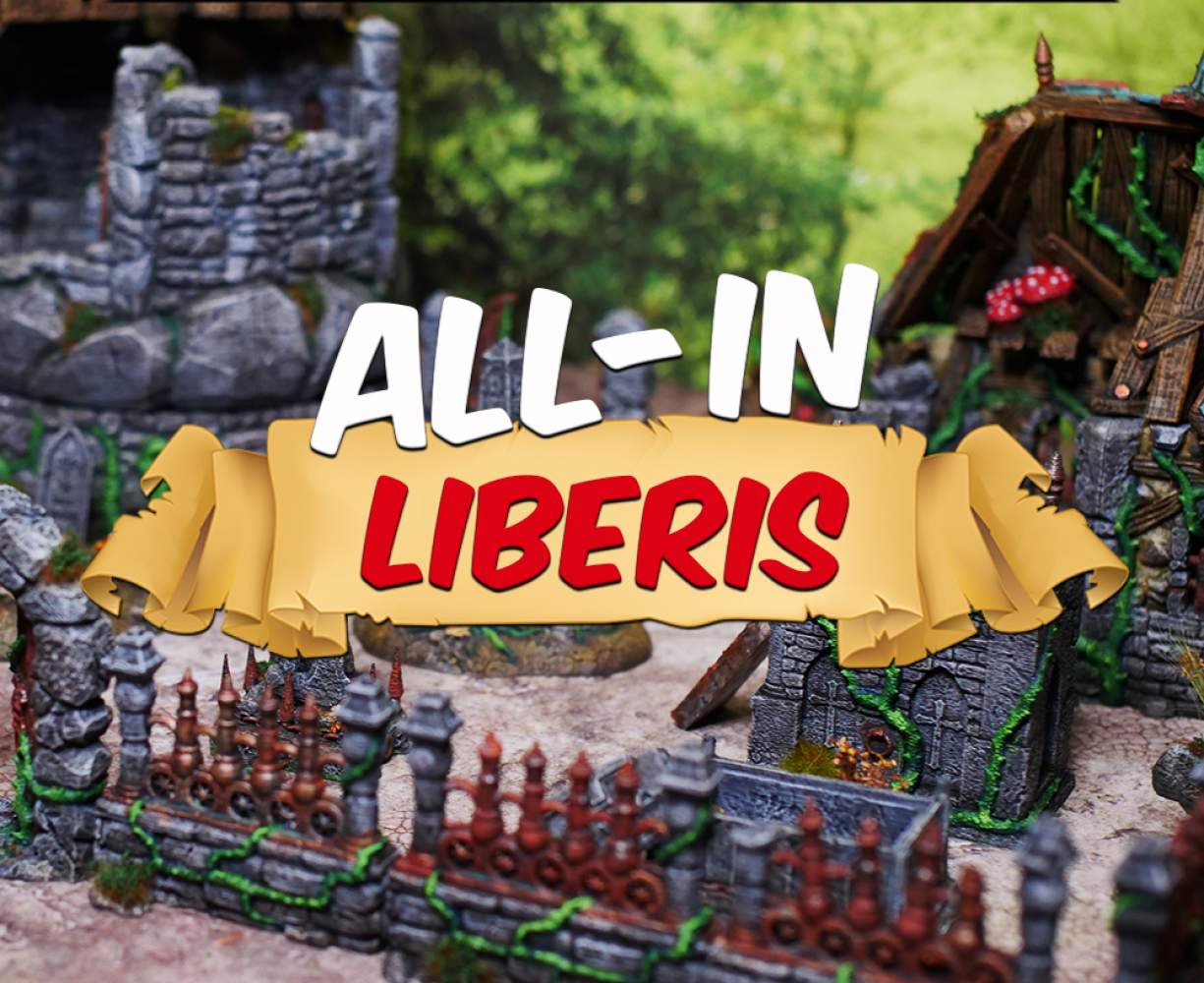 ALL-IN Liberis's Cover