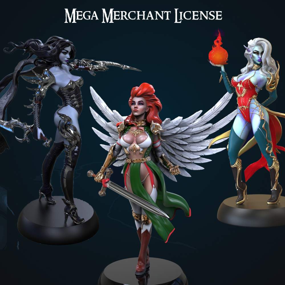 Mega Merchant License's Cover