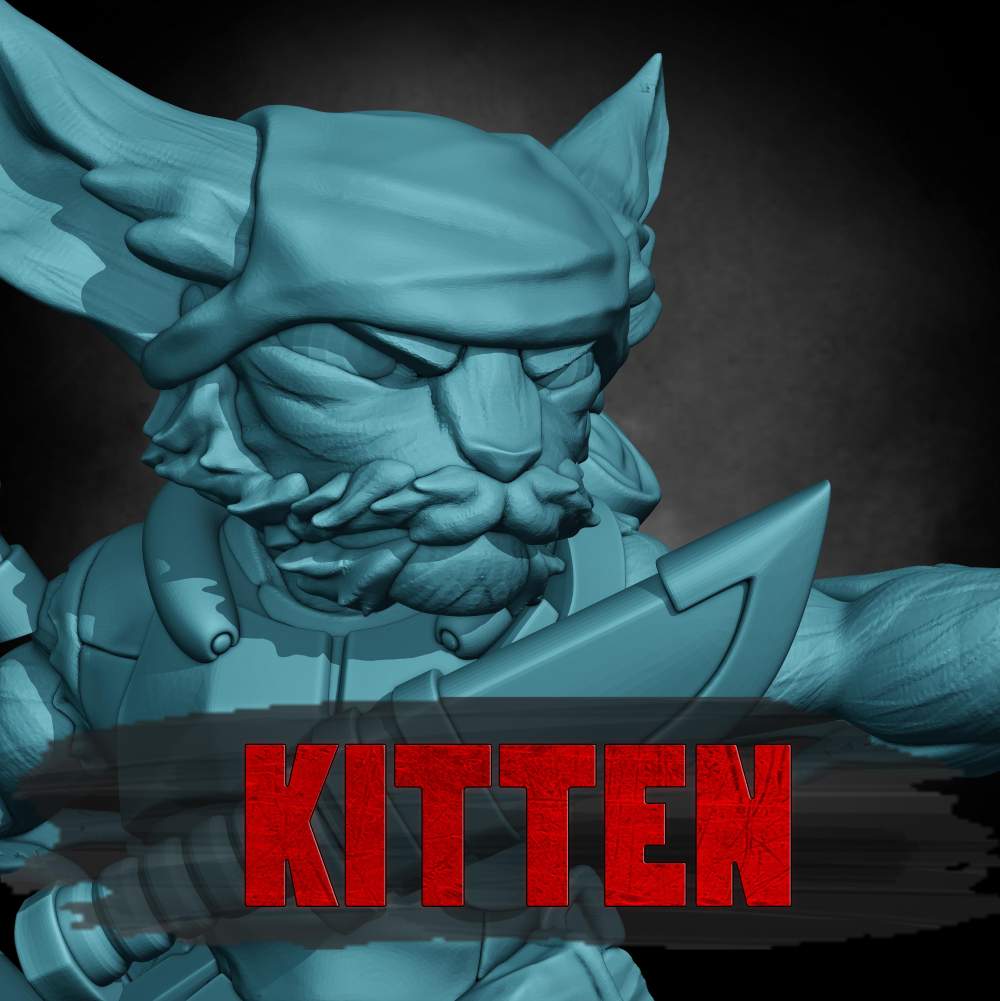 Kitten's Cover