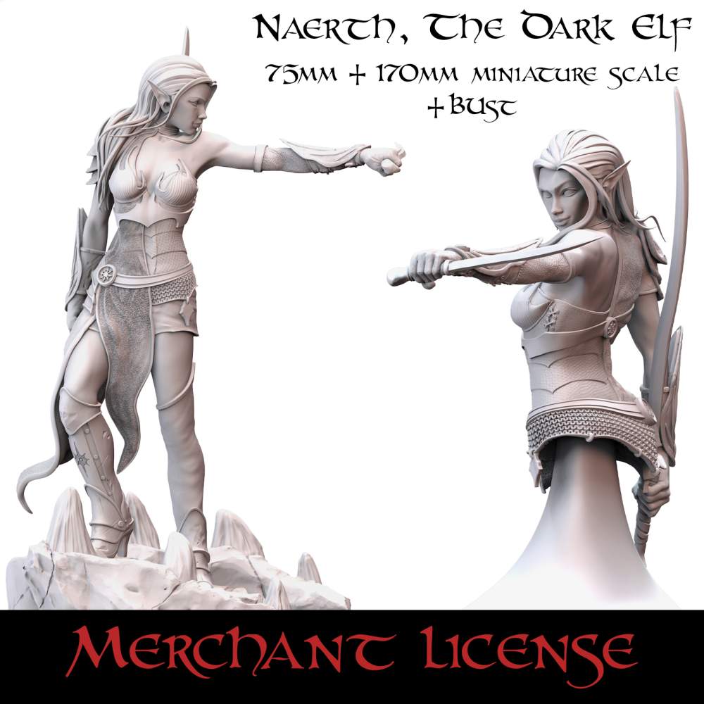 Naerth - LIFETIME Merchant License 's Cover