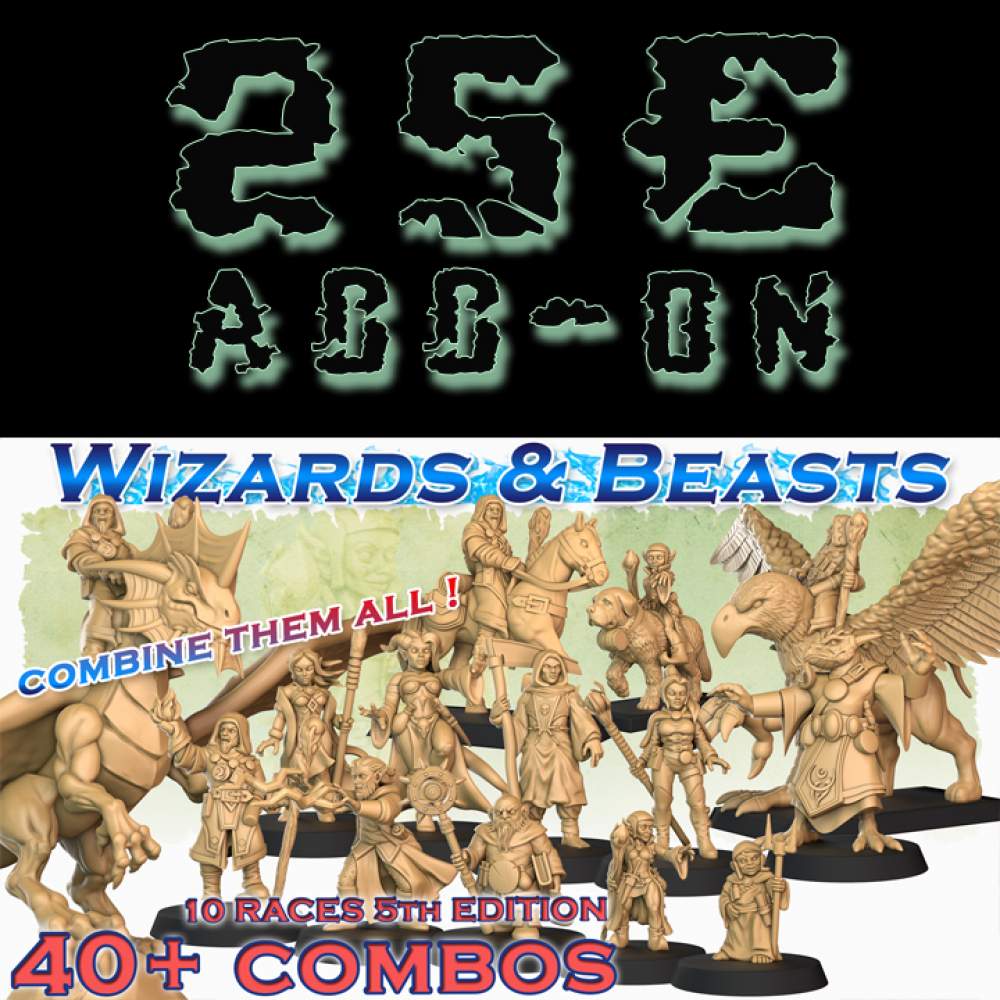 Addon - THE WIZARDS & BEASTS D&D MINIATURES's Cover