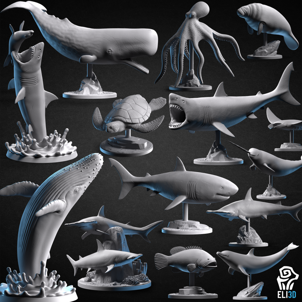 Ocean Wildlife - Merchant 's Cover