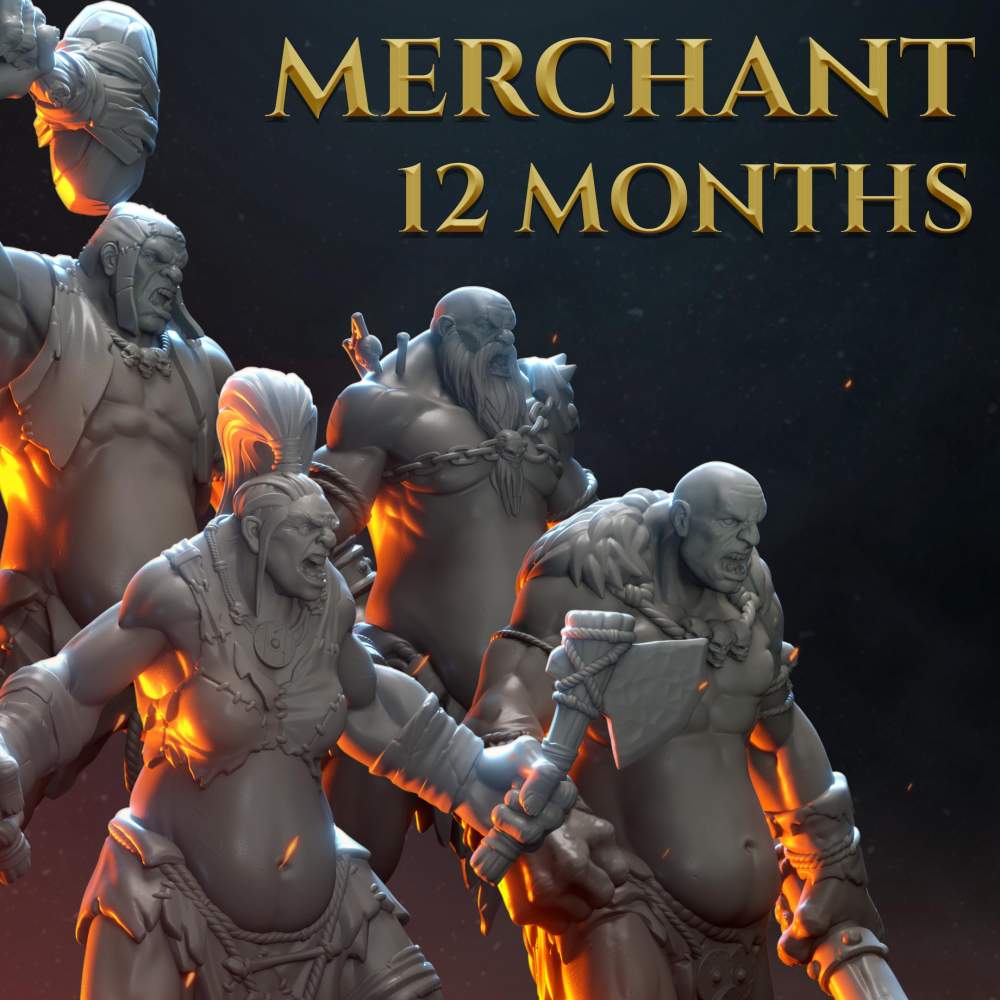 Merchant - 12 months's Cover