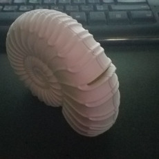 Picture of print of Shell Adhesive Tape Holder