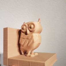 Picture of print of Owl Bookend This print has been uploaded by Simon