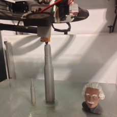 Picture of print of Bust of Einstein