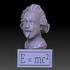 Bust of Einstein image