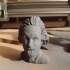 Bust of Einstein print image