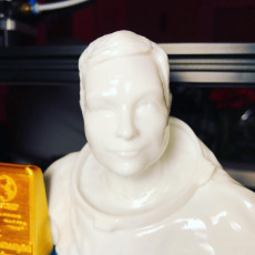 Picture of print of Neil Armstrong Bust & Moon Landing Plaque