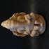 Ganesha at The National Art Museum of Copenhagen, Denmark image
