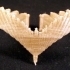 Falcon Wing Bracelet image