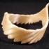 Falcon Wing Bracelet image
