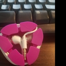 Picture of print of Earbud Case