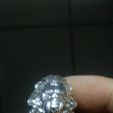 Picture of print of Lion Ring for comp 这个打印已上传 lu jun