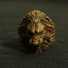 Picture of print of Lion Ring for comp 这个打印已上传 David Suazo