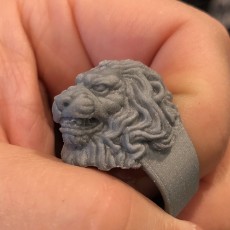 Picture of print of Lion Ring for comp Cet objet imprimé a été téléchargé par Brian
