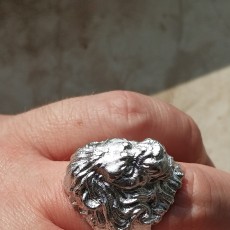 Picture of print of Lion Ring for comp