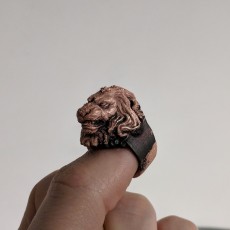 Picture of print of Lion Ring for comp