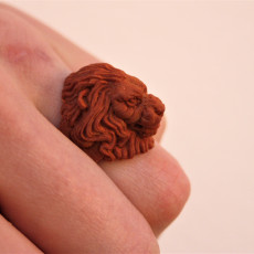 Picture of print of Lion Ring for comp 这个打印已上传 Michał Dyra