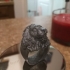 Lion Ring for comp print image