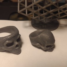 Picture of print of Skull Ring