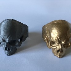 Picture of print of Skull Ring