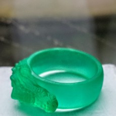 Picture of print of Crocodile Ring This print has been uploaded by Philippe Maegerman