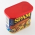 Can Lid (Spam) image