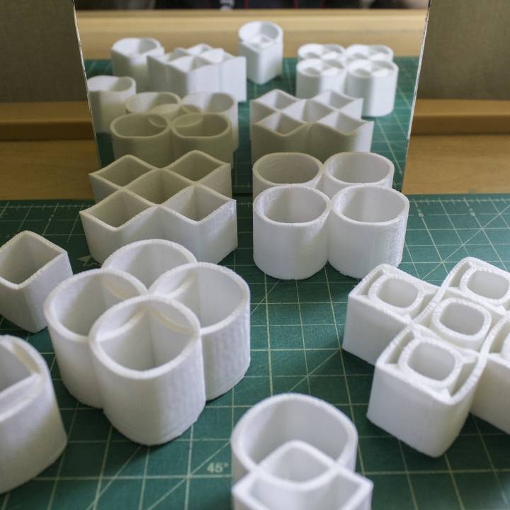3D Printed Ambiguous Solid Illusion 
