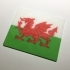 Wales Flag Coaster / Plaque image