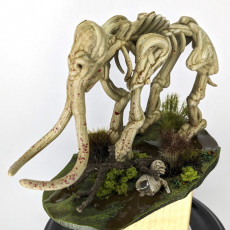 Picture of print of Mammoth Fossil // VR Sculpt