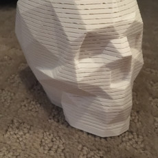 Picture of print of Springo Skull