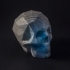 Springo Skull image