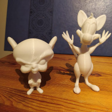 Picture of print of Pinky and the Brain
