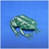 Mr Froggy image