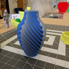 Picture of print of Chromatic Split Vase