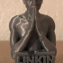 Linkin Park - Chester Bennington print image