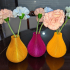 Bulb Vases print image