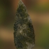 Turkey-tail Projectile Point image