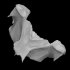 Leatherback Turtle Skull Fragment (VCU_3D_1747) image