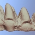 Mastodon Molar M3 (VCU_3D_2874) image