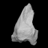 Ice Age Bison Radius/Ulna (VCU_3D_2863) image