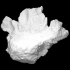 Pathological Mastodon Vertebra (VCU_3D_2896) image