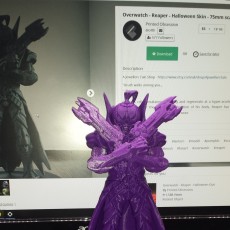Picture of print of Overwatch - Reaper - Halloween Skin - 75mm scale
