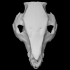 Pig Skull image