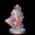 Omyr, Warrior Mage (18mm scale) image