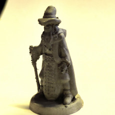 Picture of print of Wizard (18mm scale)