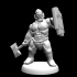 Trollspawn Brute (18mm scale) image